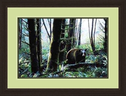 Picture of 46ECE1DF-1DA5-4FF3-AF2B-07E5760308FA ( 01840-1 )