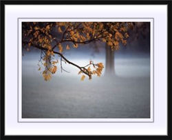 Picture of zzz ( 24261 )