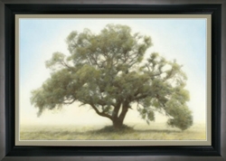 Picture of zzz ( 60254 )
