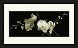 Picture of zzz ( 91257 )