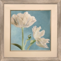 Picture of White Tulip 1 GL00311