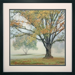 Picture of Obscured by Clouds            GL00617