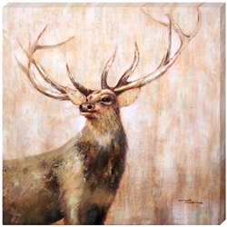 Picture of Majesty OP00157