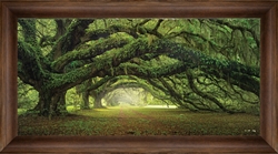 Picture of Passage                OT00566