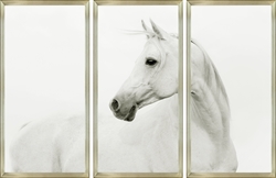 Picture of Triptych Shy Guy GL01254