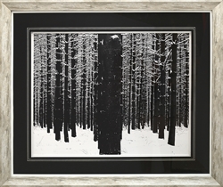 Picture of A Snowy Forest GL01262