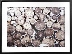 Picture of Log Up                                  GL1601