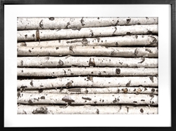 Picture of Birch Gate                                GL1600