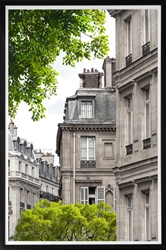 Picture of Building and Green Tree II  GL1523