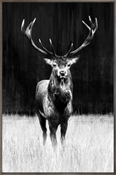 Picture of Black Elk OP0868-1