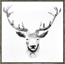 Picture of B&W Moose 24 OP0863-1