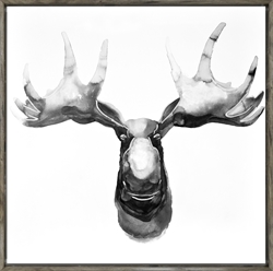 Picture of B&W Cariboo 24 OP0864-1