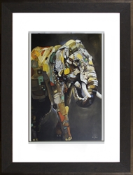 Picture of Asian Elephant     GL01648