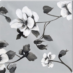 Picture of White Flowers ll OP0988