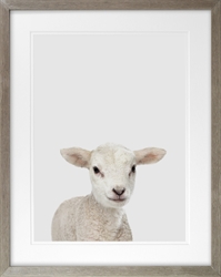 Picture of Baby Lamb                   GL1723