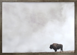 Picture of Bison  GL1793