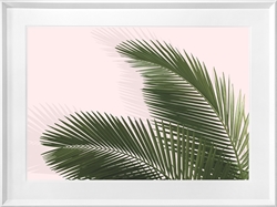 Picture of Leaves of Palm Tree GL1883