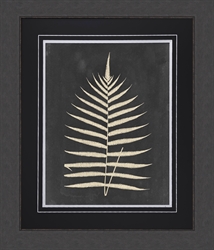 Picture of Linen Fern III                                 GL0805