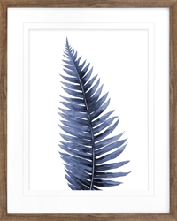 Picture of Indigo Fern                                        GL0975
