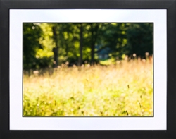 Picture of Autumn Landscape                            GL0744