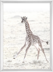 Picture of Summer Giraffe                             GL274