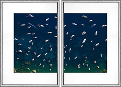 Picture of Boat Conference – Amalfi Coast            GL1061