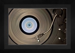 Picture of Vinyl Record                                     GL0902