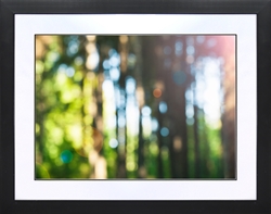 Picture of Green Trees with Leaves                 GL0745