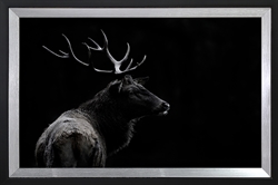 Picture of The Deer Soul                                       GL2137