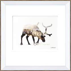 Picture of Arctic Reindeer                                  GL2219