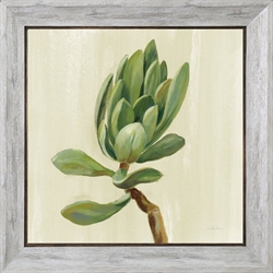Picture of Front Yard Succulent III               GL2304