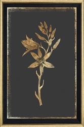 Picture of Camass and Wild Hyacinth             GL0119     