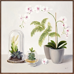 Picture of Orchid and Ferns                         OP1493-1