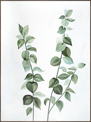 Picture of Green Leaves                                OP1527-1