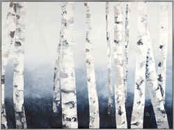 Picture of Midnight Birch                         OP1428-1