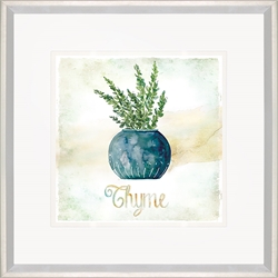 Picture of Potted Thyme                    GL2688