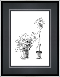 Picture of Two Indoor Flower                  GL2591