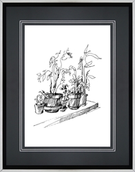 Picture of Indoor Plants                       GL2593