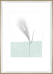 Picture of Barley                           GL2597