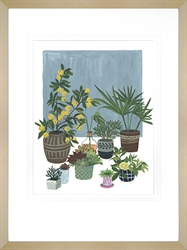 Picture of A Portrait of Plants II            GL2634