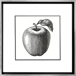 Picture of Apple Vector              GL2905