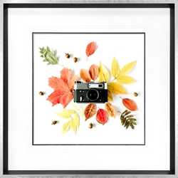Picture of Camera with Autumn Fall Floral     GL2973