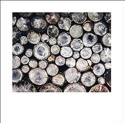 Picture of Grain Wood Wall           GL090