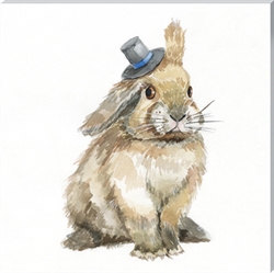 Picture of Baby Brown Bunny      CW00143