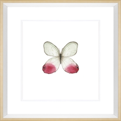 Picture of Cream Wings                    GL194