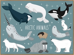 Picture of Arctic Animals         CA00019-1